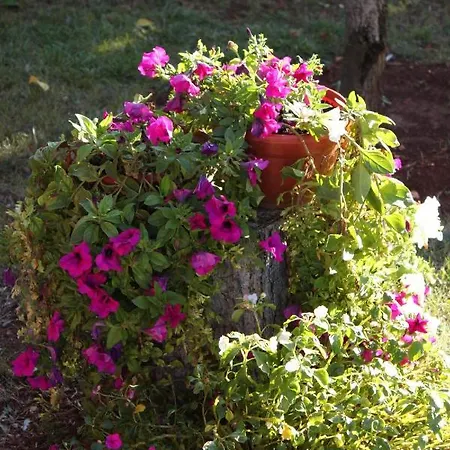 With Parking Space - 7057 *