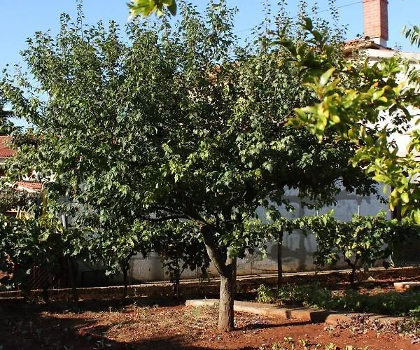 With Parking Space - 7057 Appartement