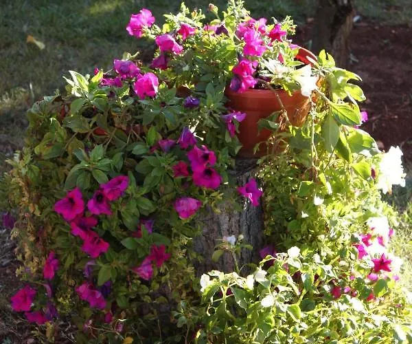 With Parking Space - 7057 *